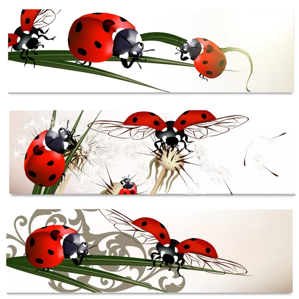 Conjunto de tarjetas de visita con escarabajos en estilo natural — Archivo Imágenes Vectoriales