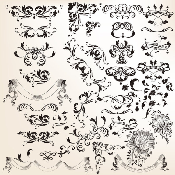 Collection of vector vintage flourishes and calligraphic element