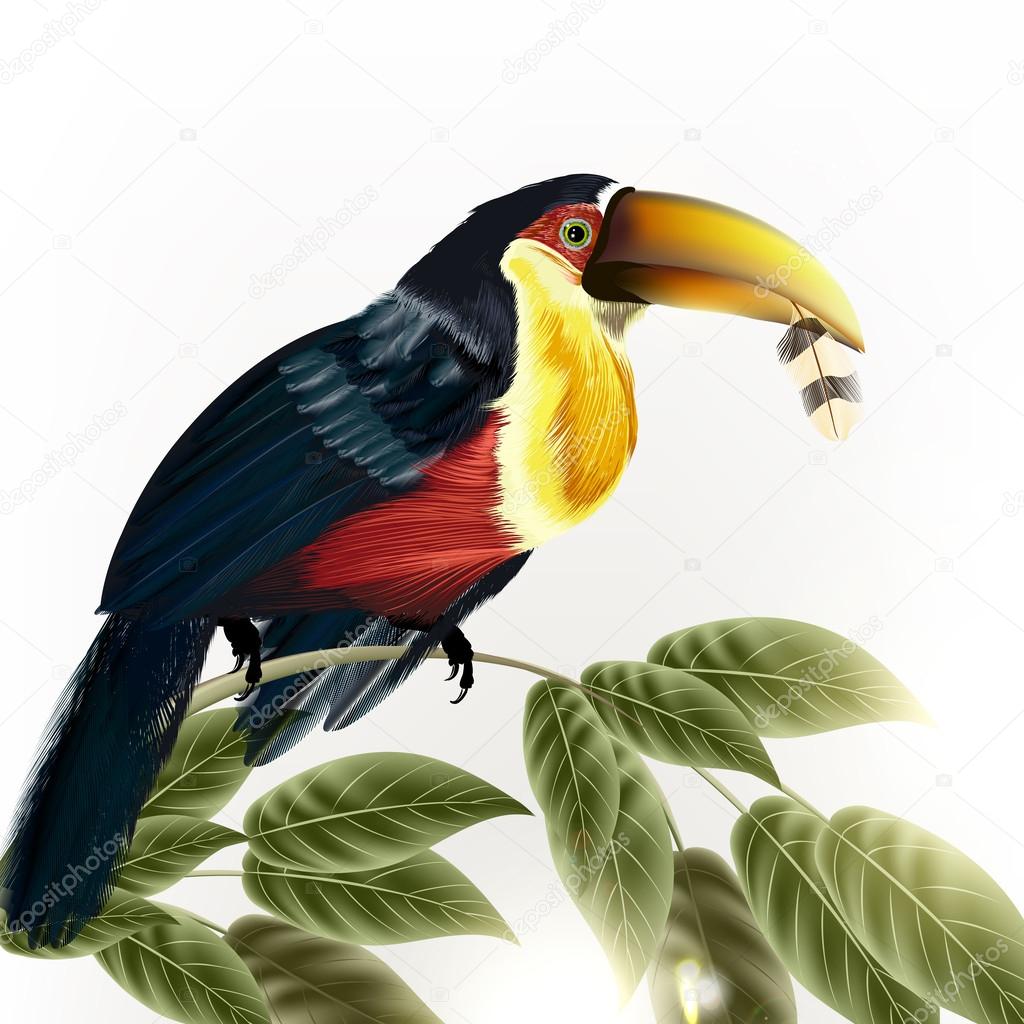 Background with vector detailed colorful tropical bird