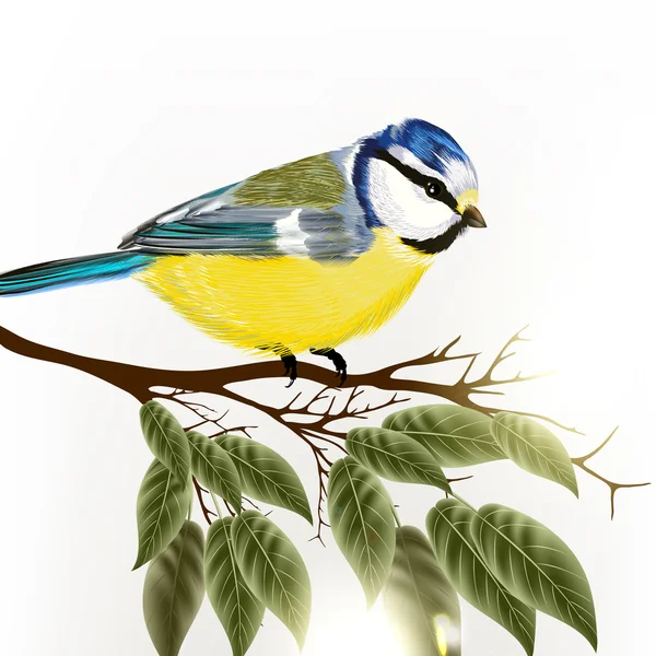 Arrière-plan avec vecteur oiseau détaillé — Image vectorielle