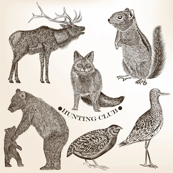 Collection d'animaux vectoriels dessinés à la main dans un style vintage — Image vectorielle