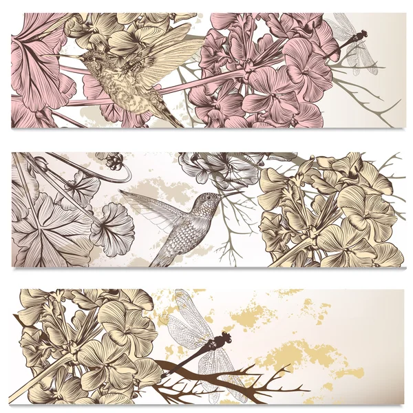 Conjunto vectorial de fondos florales con pájaros y flores — Vector de stock
