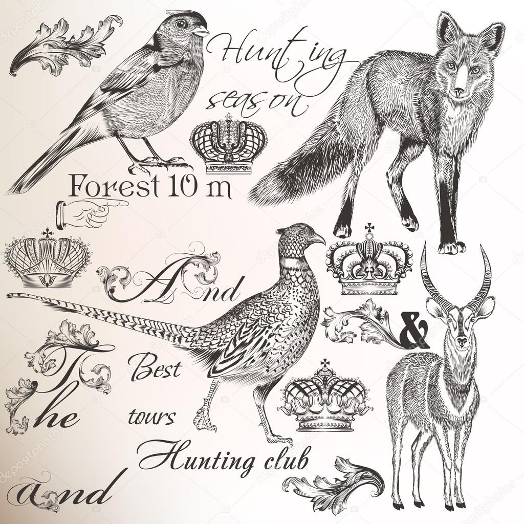 Collection of vector hand drawn animals for  hunting design