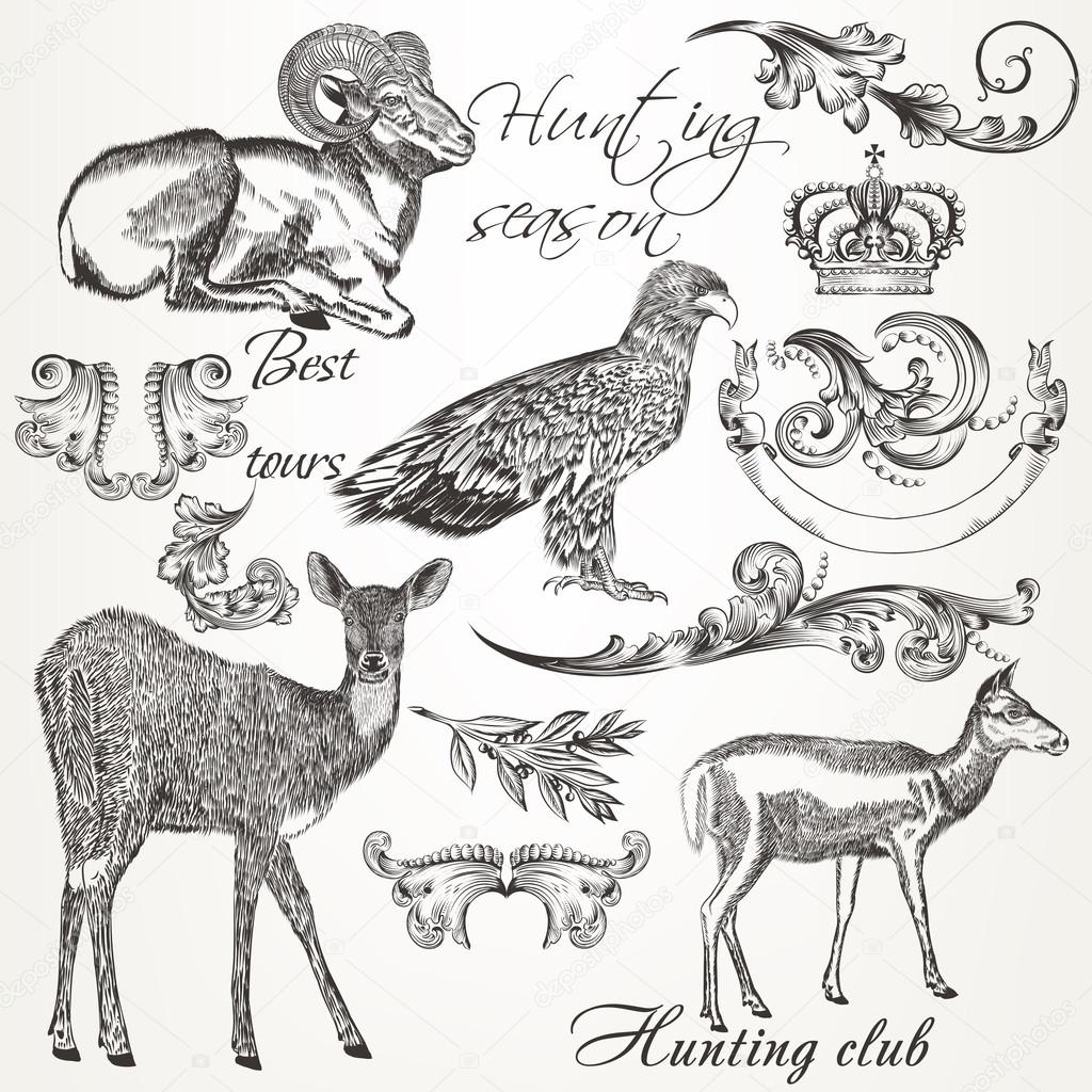 Collection of vector hand drawn animals and flourishes in vintag