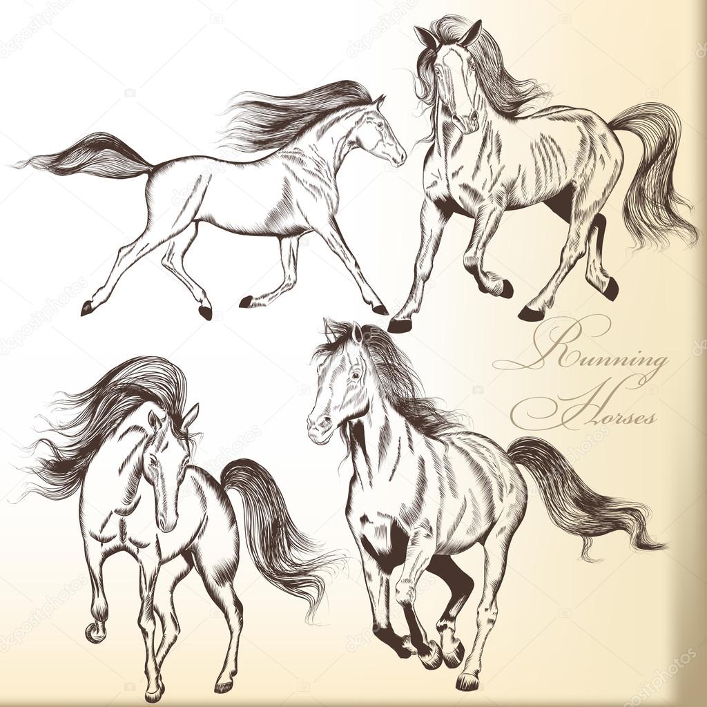 Set of vector hand drawn horses