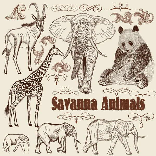 Collectie van vector dieren Afrikaanse savanne — Stockvector