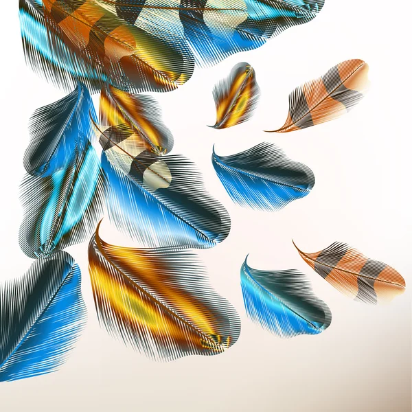 Fond avec des plumes colorées — Image vectorielle