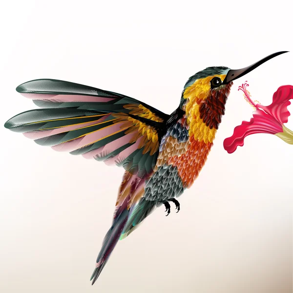 Hermoso colibrí colorido con flor — Archivo Imágenes Vectoriales