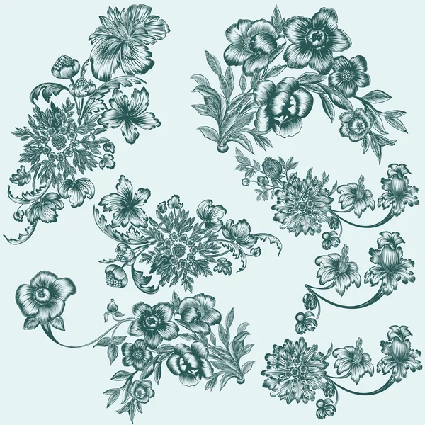 Collection of vector hand drawn floral elements — Stock Vector