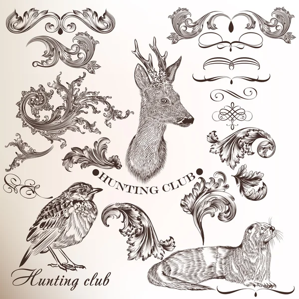 Conjunto de elementos dibujados a mano para el diseño de caza — Archivo Imágenes Vectoriales