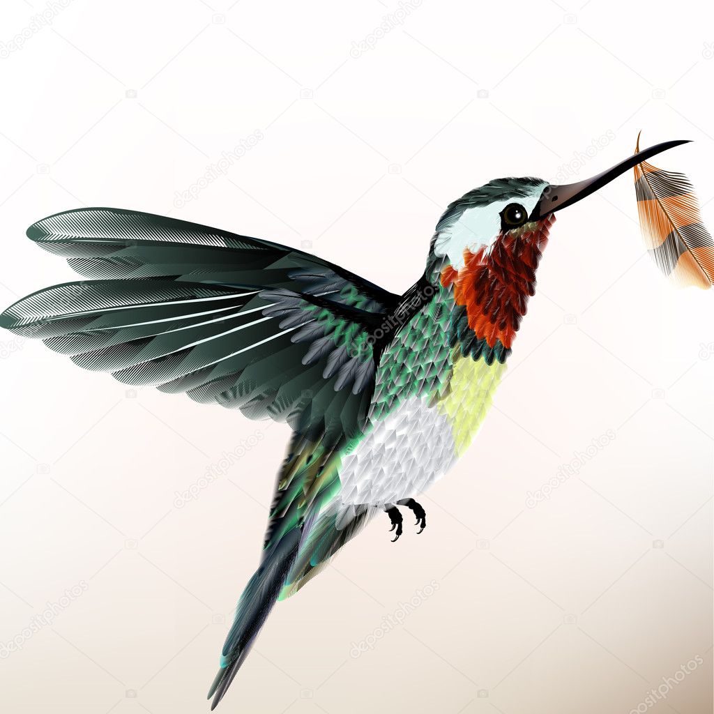 Background with colorful hummingbird