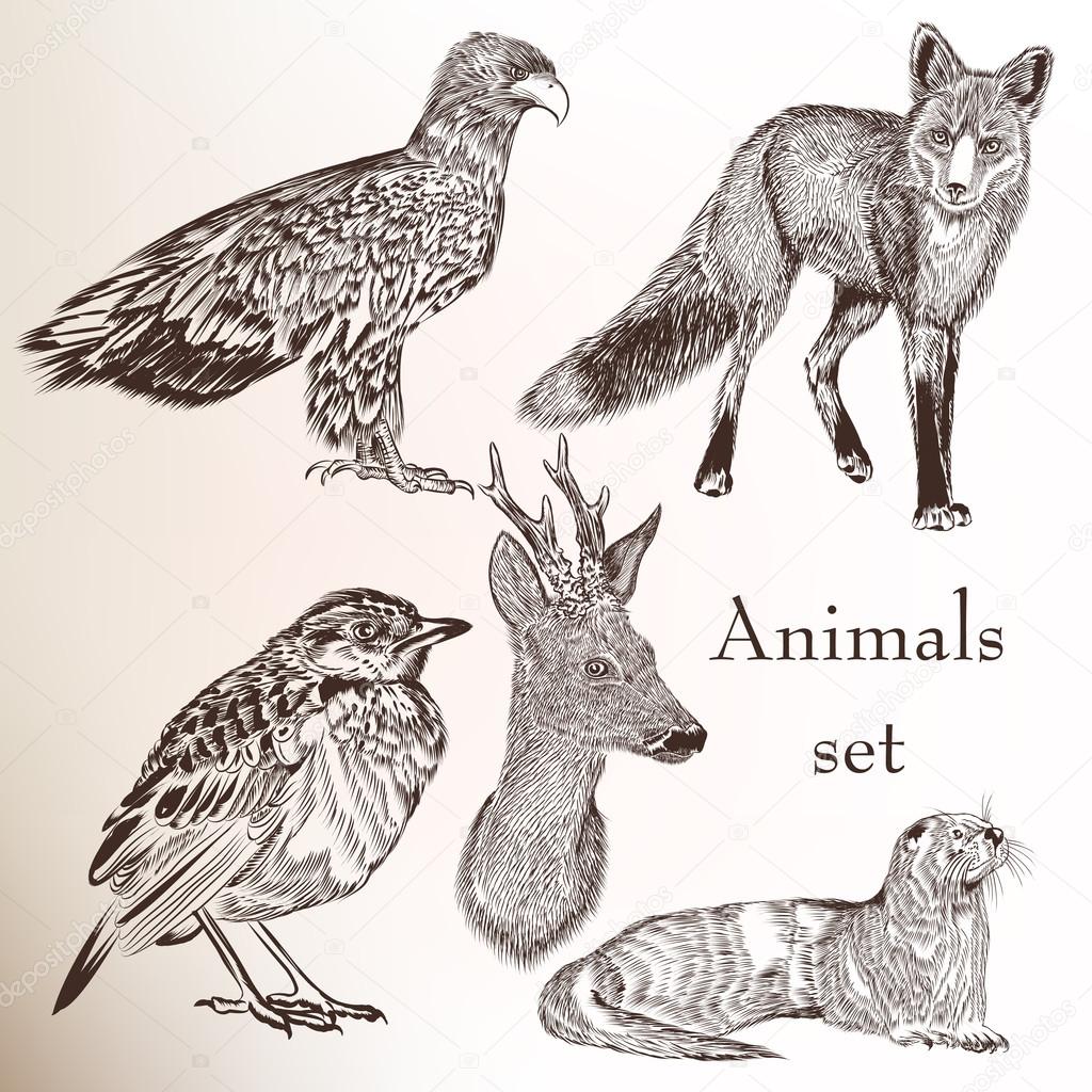 Set of hand drawn animals