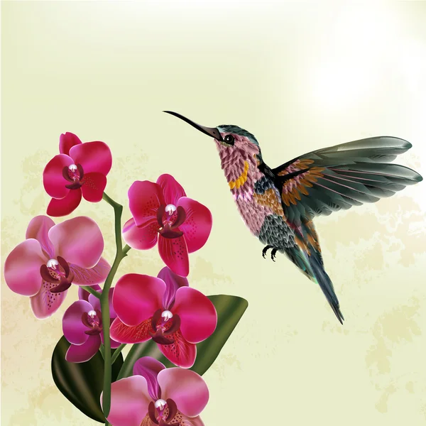 Mode fond floral avec orchidée et colibri — Image vectorielle