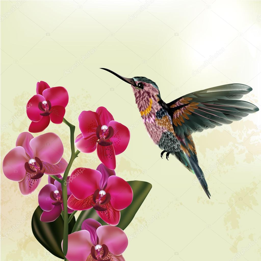 Fashion  floral background with orchid and hummingbird
