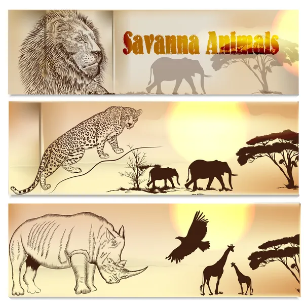 Beaux décors sertis d'animaux de savane — Image vectorielle