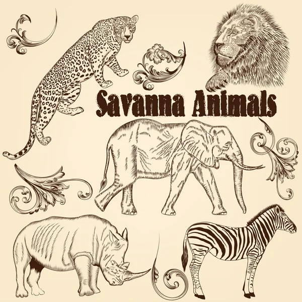 Collection of vector animals  African Savanna — Stock Vector