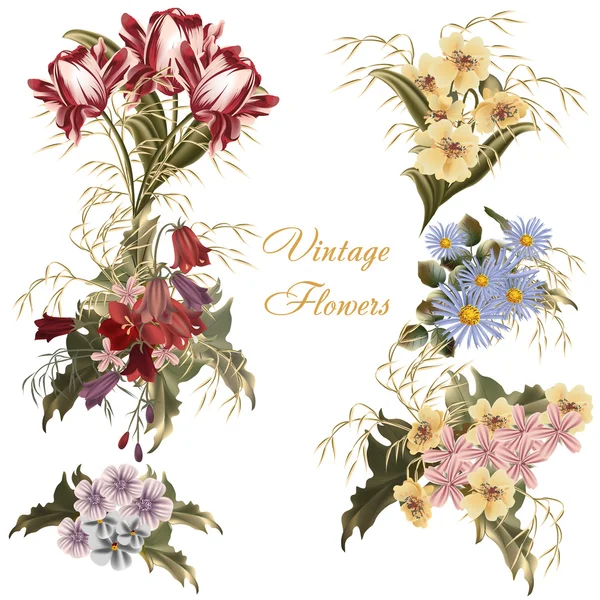 Colección de flores realistas vectoriales en estilo acuarela — Vector de stock