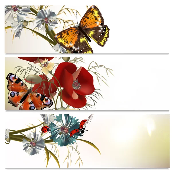 Beautiful backgrounds set with flowers and butterflies — Stock Vector