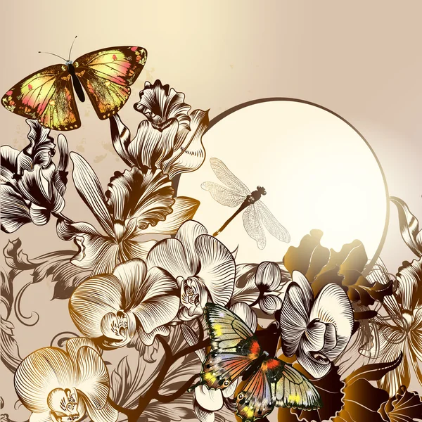 Moda fundo floral com borboletas e orquídeas — Vetor de Stock
