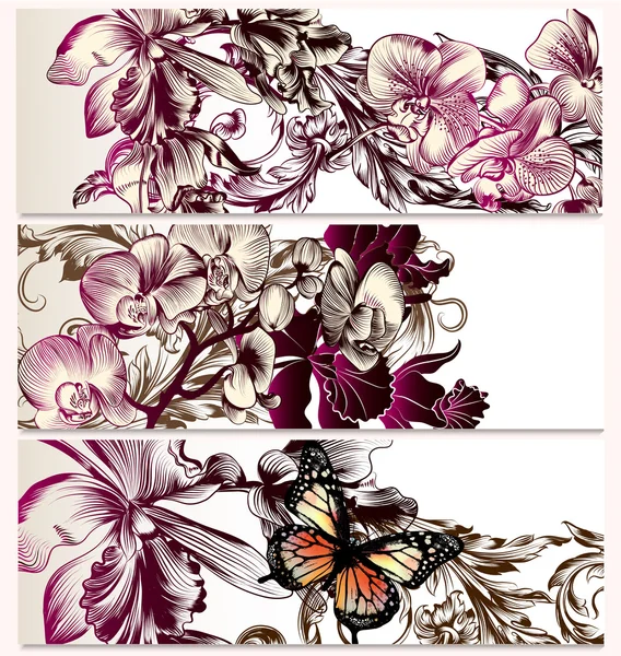 Vector backgrounds set with orchid flowers — Stock Vector