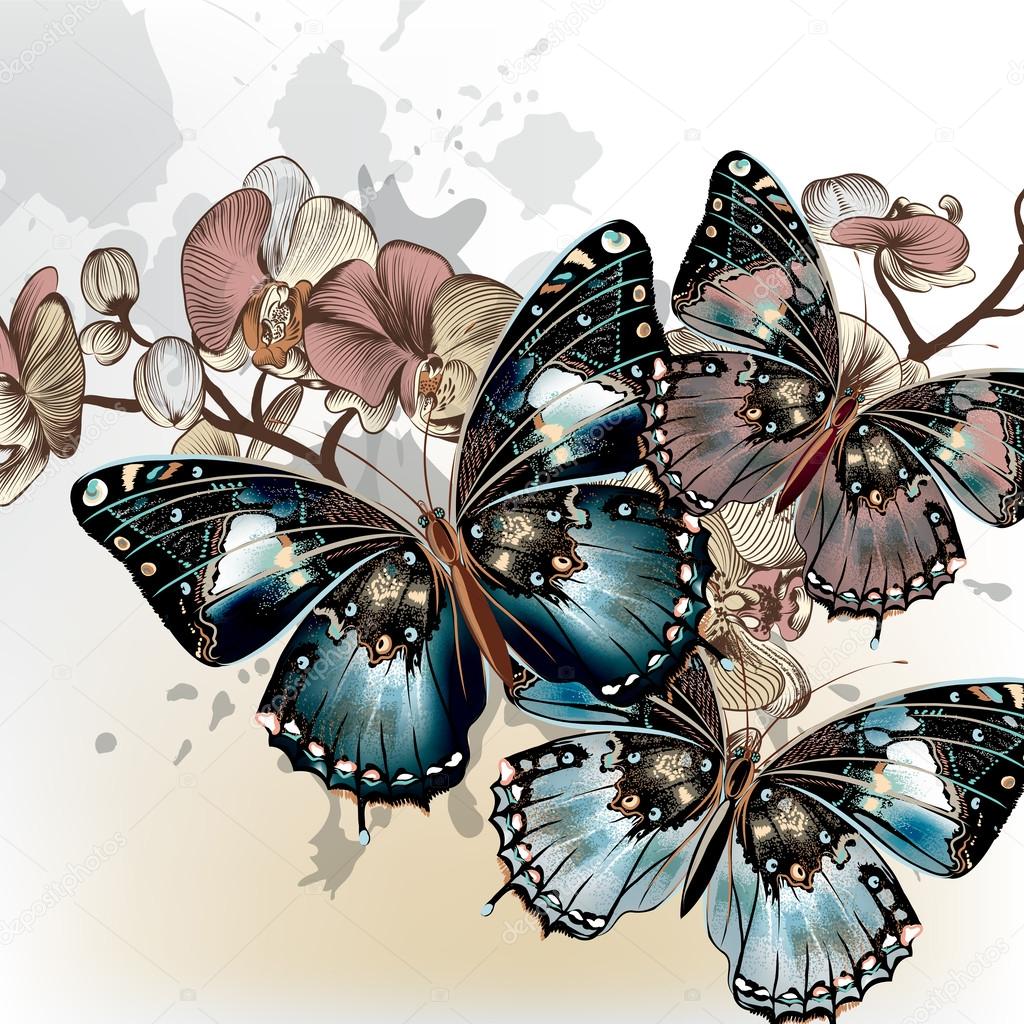 Fashion vector background with butterflies