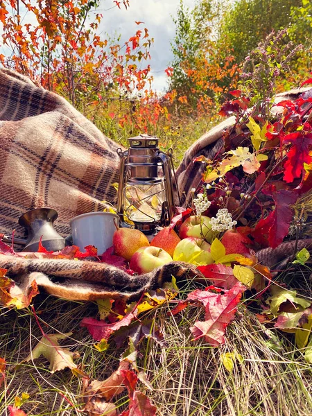 ヴィンテージランタン マグカップ コーヒーターク ウールブランケット リンゴ 梨とカエデの葉と美しい秋の組成物 — ストック写真