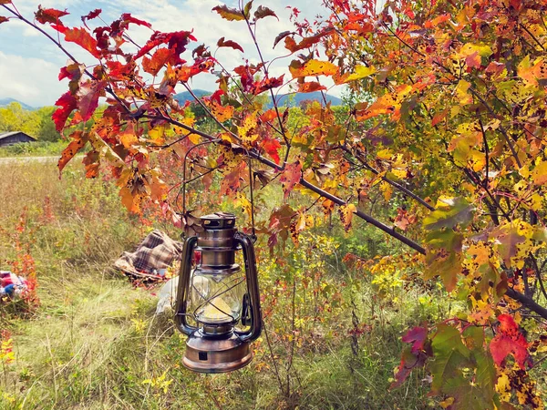 Prachtige Herfstcompositie Met Vintage Lantaarn Hangend Aan Rode Esdoorn — Stockfoto