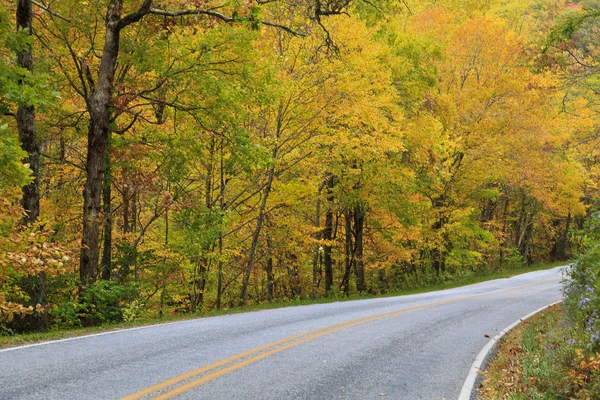 Una strada in autunno — Foto Stock