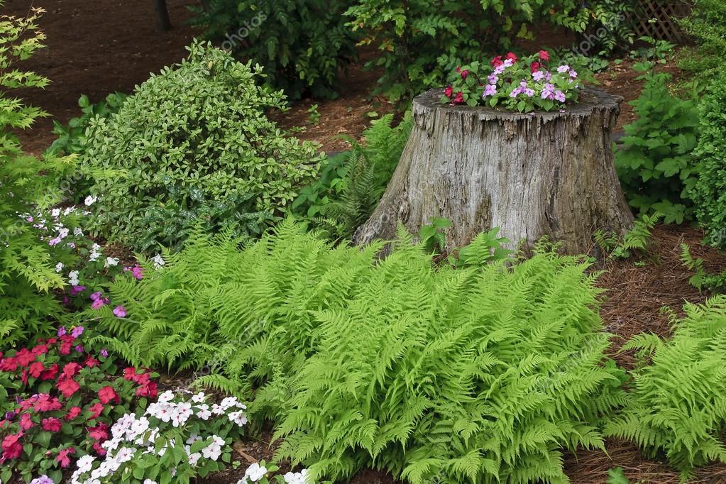 Tree Stump Stock Photo C Jilllang 19085327