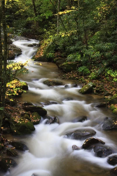 Bergkreek — Stockfoto