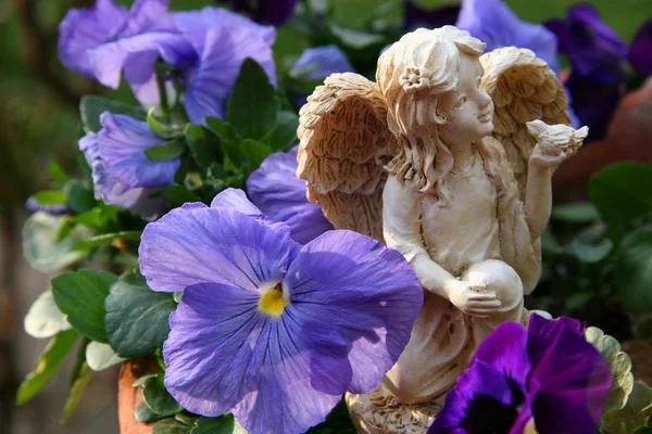 Angel Statue in Pansies — Stock Photo, Image