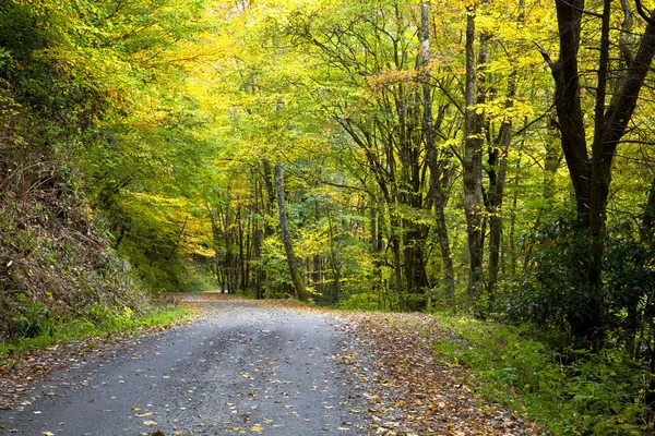 Paese Ghiaia Strada — Foto Stock