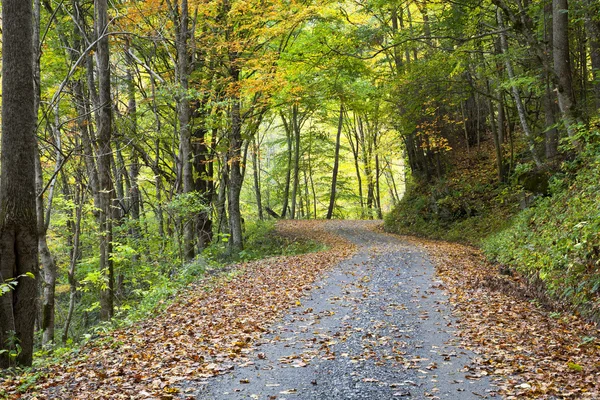 Country Dirt Road — Stock Photo, Image