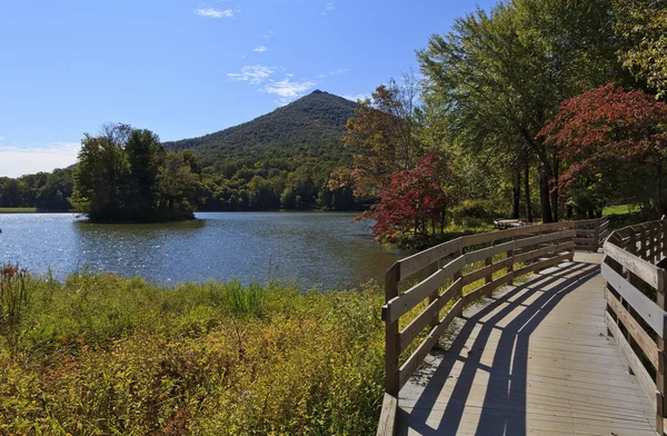 Picchi di lontra in Virginia — Foto Stock