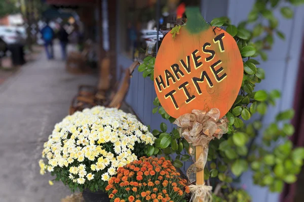 Harvest Time Signage — Stock Photo, Image