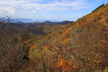 Blue ridge Dağları