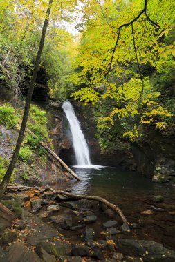 north Carolina şelale