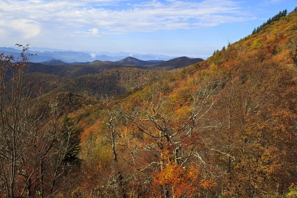 Blue Ridge Mountains — Stock fotografie