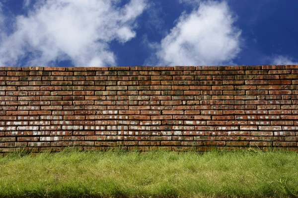 Grünes Gras und Ziegelmauer über blauem Himmel — Stockfoto