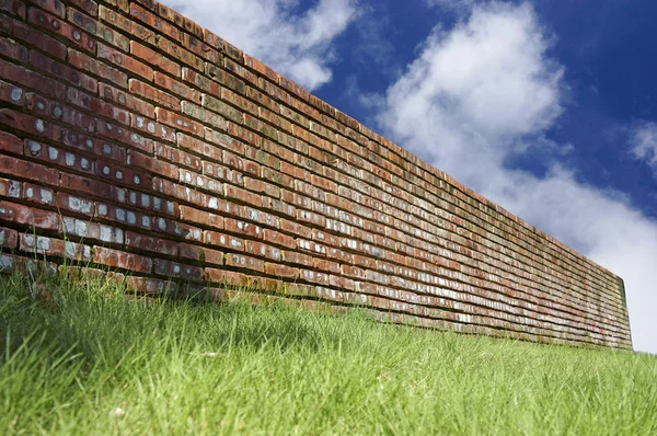 Zielona trawa i cegły ściany nad niebieski niebo — Zdjęcie stockowe