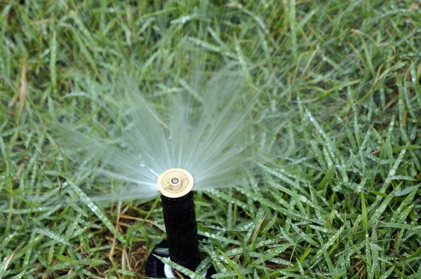 Working sprinkler — Stock Photo, Image