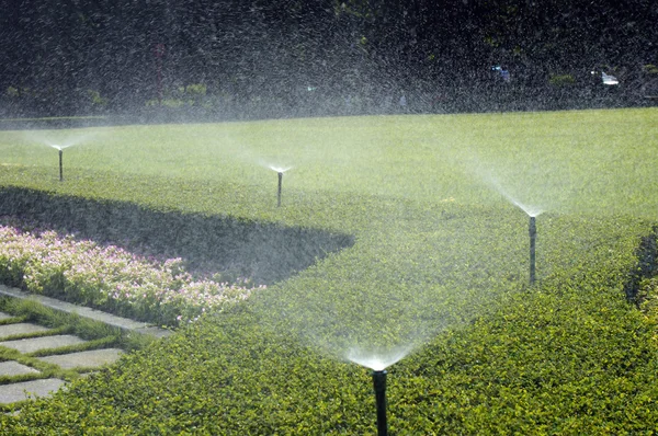 çalışma yağmurlama