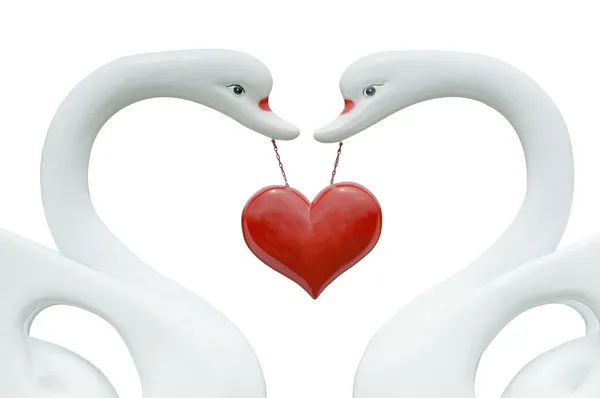 Heart shape sign hanging on white swans — Stock Photo, Image