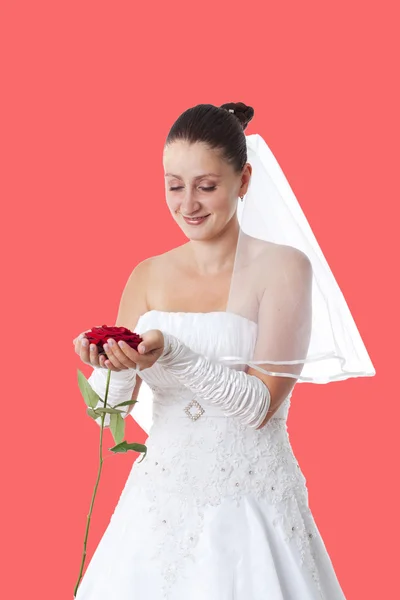 Bride with red rose — Stock Photo, Image