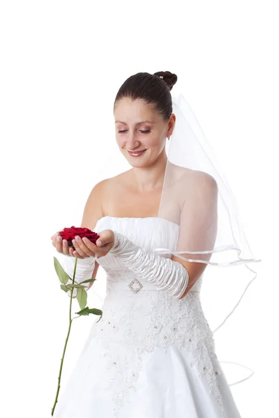 Bride with red rose — Stock Photo, Image