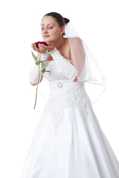Nevěsta s červenou růží — Stock fotografie