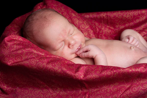 Kleine baby — Stockfoto