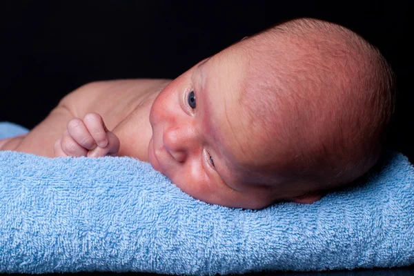 Newborn on towel — Stock Photo, Image