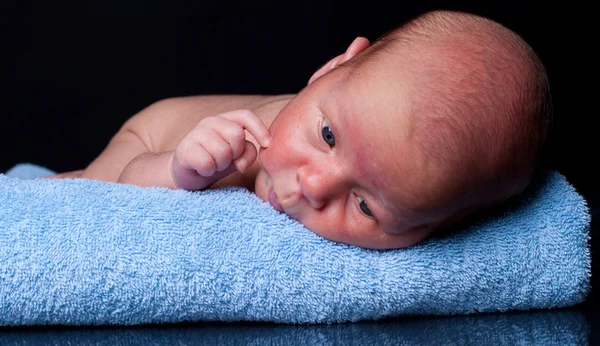 Recém-nascido em toalha — Fotografia de Stock