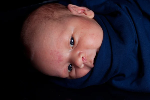 Newborn in sling — Stock Photo, Image